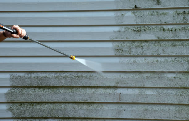 Best Toxic Mold Removal  in Saunders Lake, OR