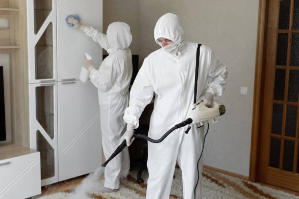 Best Certified Mold Removal  in Saunders Lake, OR