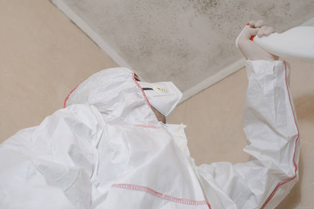 Best Black Mold Removal  in Saunders Lake, OR