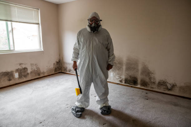 Trusted Saunders Lake, OR Mold Removal Experts